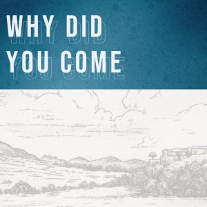 Why Did You Come